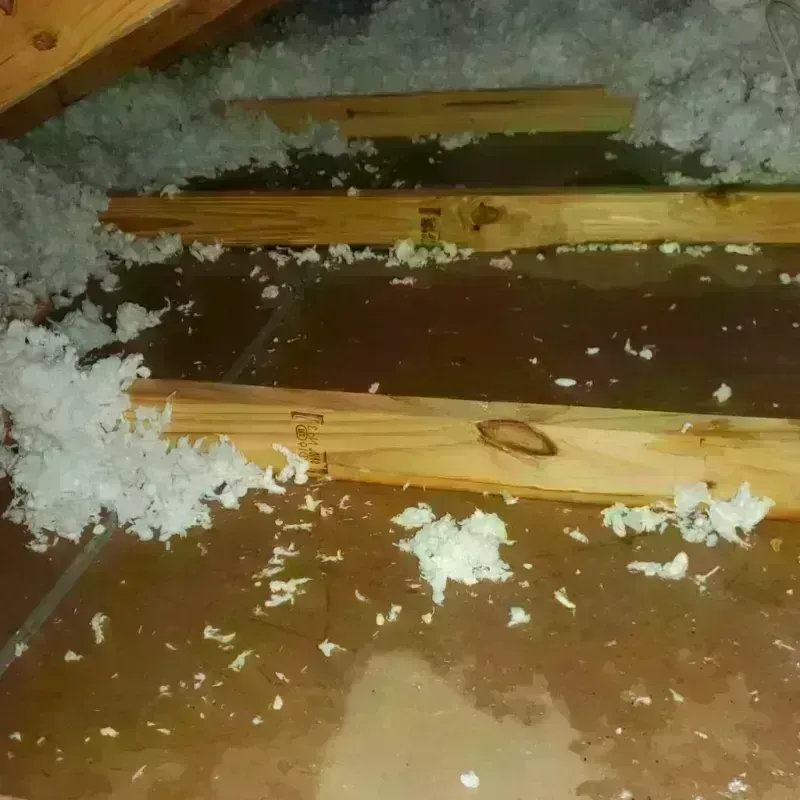 Attic Water Damage in Madison County, MO