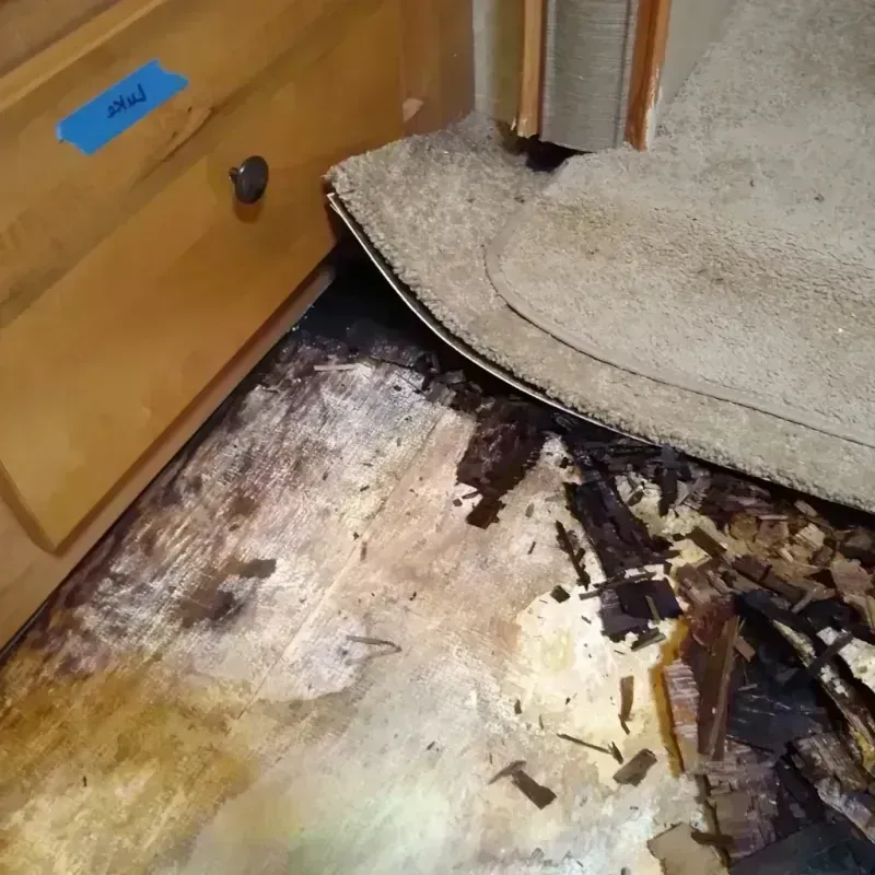 Best Wood Floor Water Damage Service in Madison County, MO